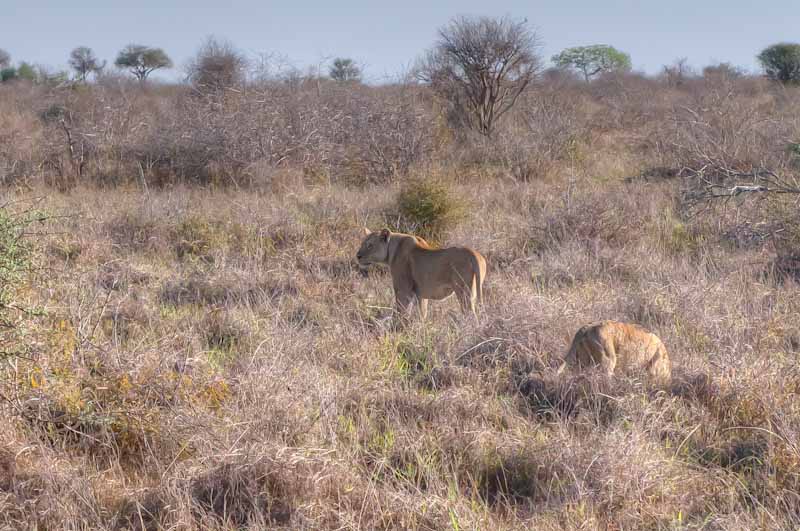 kenya_2012_KEN_1447_hdr